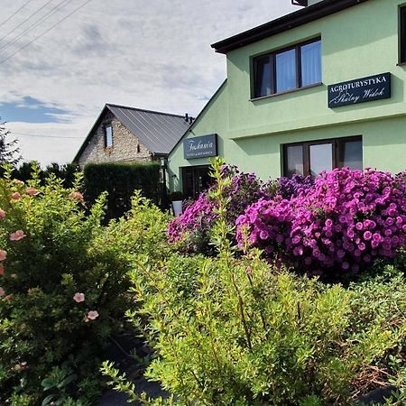 Skalny Widok Villa Hucisko  Dış mekan fotoğraf