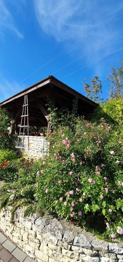 Skalny Widok Villa Hucisko  Dış mekan fotoğraf