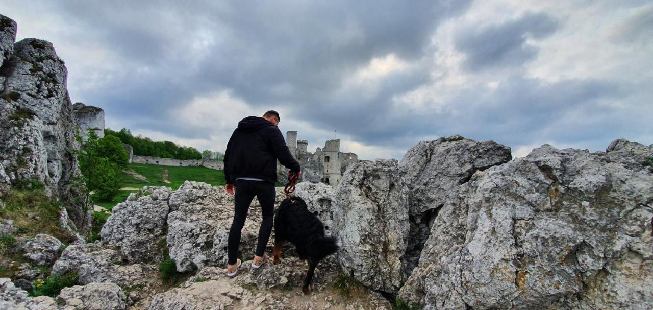 Skalny Widok Villa Hucisko  Dış mekan fotoğraf