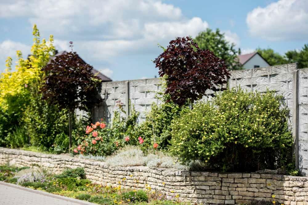 Skalny Widok Villa Hucisko  Dış mekan fotoğraf